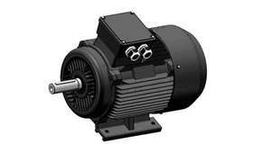 Эл.двигатель 15 кВт / 750 об.мин комбинированный | АИР180М8 IM2081 Купить в «Резон»